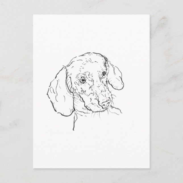 Cartão Postal de Dachshund – Ilustração de Cachorr (Frente)