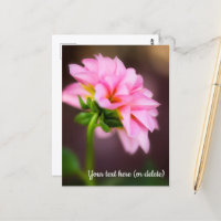 Cartão postal de dália rosa