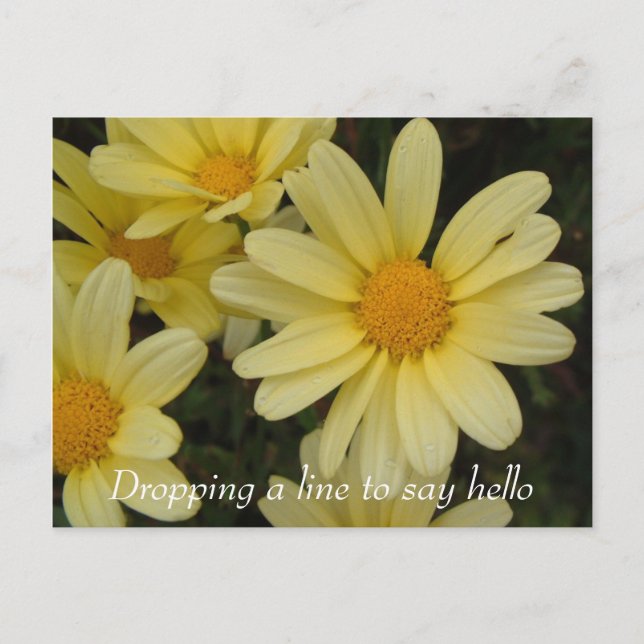 Cartão postal de deixar uma mensagem para dizer ol (Frente)