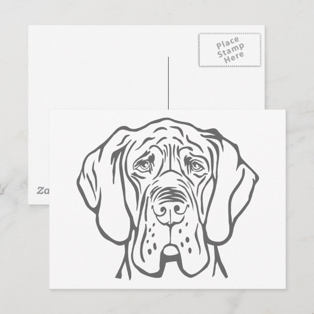 Cartão postal de desenho da cabeça do Dogue Alemão (Frente/Verso)