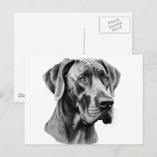 Cartão postal de desenho da cabeça do Great Dane