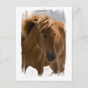 Cartão postal de Design de Cavalo de Castanha