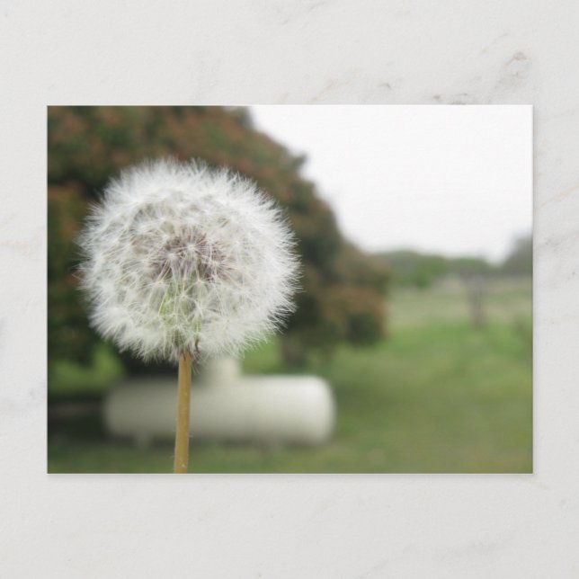 cartão postal de destino (Frente)