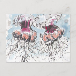 Cartão postal de detalhes sobre águas-vivas Cephea