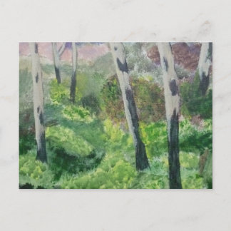 Cartão postal de Devon Primrose Wood.