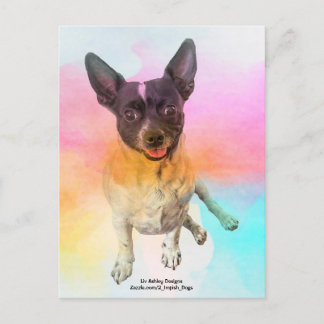 Cartão postal de Disco Gemma