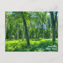 Cartão postal de Dixon Illinois no Parque Lowell