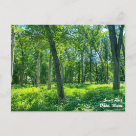 Cartão postal de Dixon Illinois no Parque Lowell