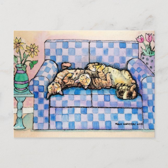 Cartão postal de dois gatos malhados dormindo (Frente)