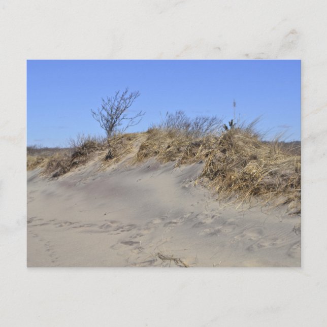 Cartão postal de duna de areia (Frente)