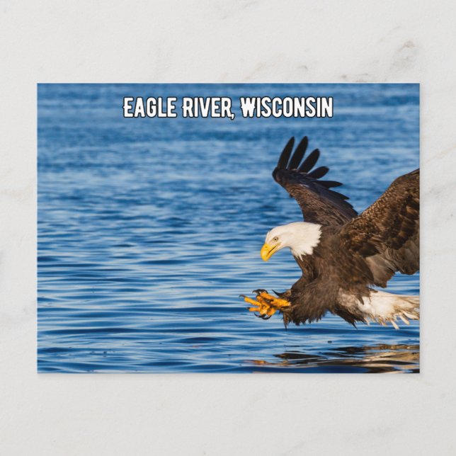 Cartão postal de Eagle River Flying Eagle Wisconsi (Frente)