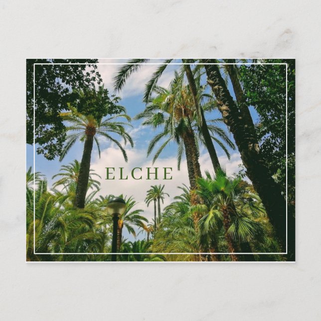 Cartão postal de Elche  (Frente)