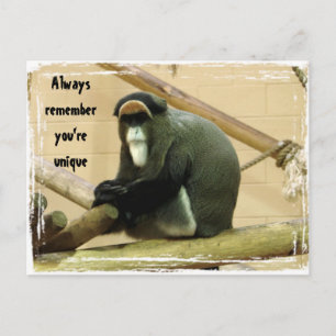 Cartão postal de encorajamento com macaco