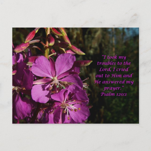 Cartão postal de encorajamento Psalm 120:1 (Frente)