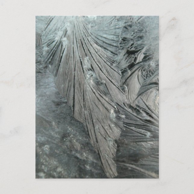 Cartão postal de entrega vertical com ventilador d (Frente)