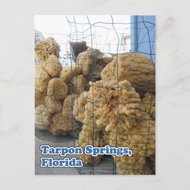 Cartão Postal de Esponjas de Tarpon Springs (Frente)