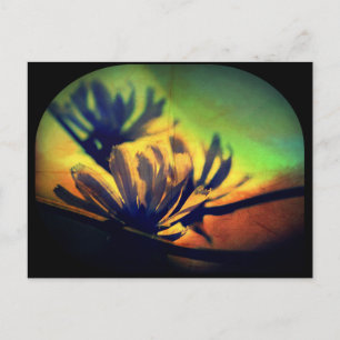 Cartão postal de exibição sunset floral