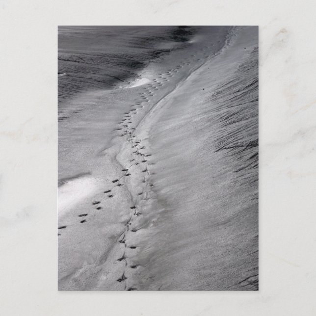 cartão postal de faixas (Frente)