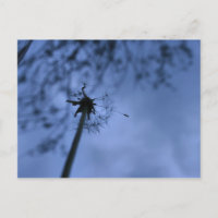 Cartão postal de fazer