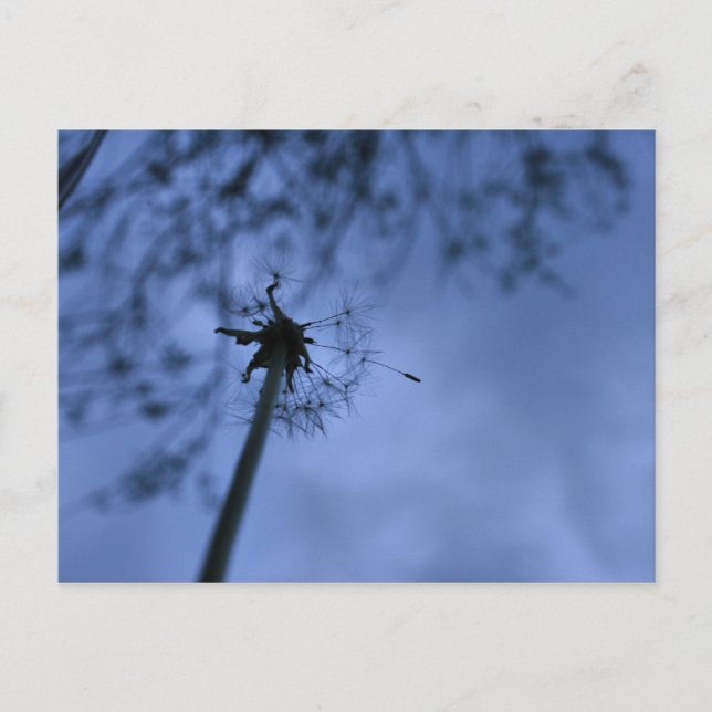 Cartão postal de fazer (Frente)