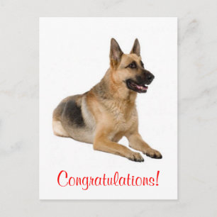 Cartão postal de felicitações do cachorro da raça