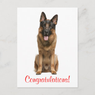Cartão postal de felicitações do cachorro da raça
