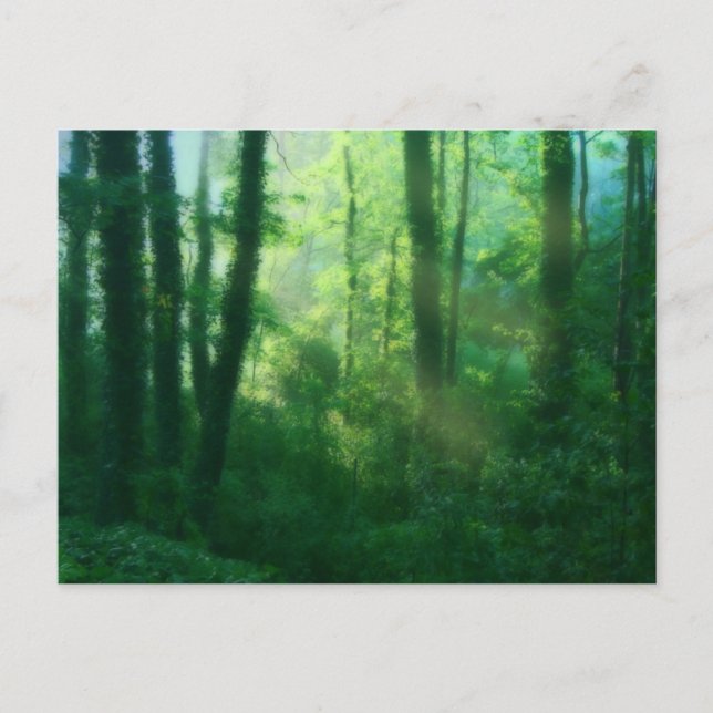 Cartão postal de fertilidade (Frente)