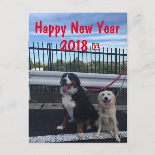 CARTÃO POSTAL DE FESTIVIDADES バーニーズマウンテンドッグとワイルドミックスドッグ　年賀状　2018年　戌年 (Frente)
