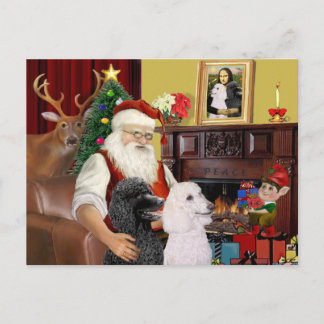 Cartão Postal De Festividades 2 Poodles Standard de Papai Noel