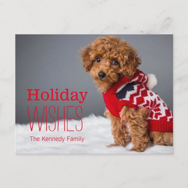 Cartão Postal De Festividades A 10 week old toy poodle (Frente)