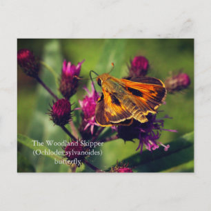 Cartão Postal De Festividades A borboleta do capitão Woodland