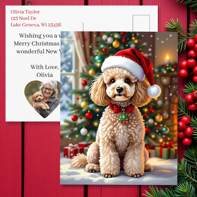 Cartão Postal De Festividades A Cute Poodle Christmas Personalized (Criador carregado)