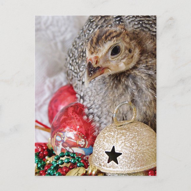 Cartão Postal De Festividades A Guiné de Natal (Frente)