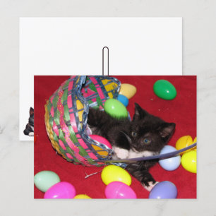 Cartão Postal De Festividades A Páscoa de Versace deseja Cat/Kitten