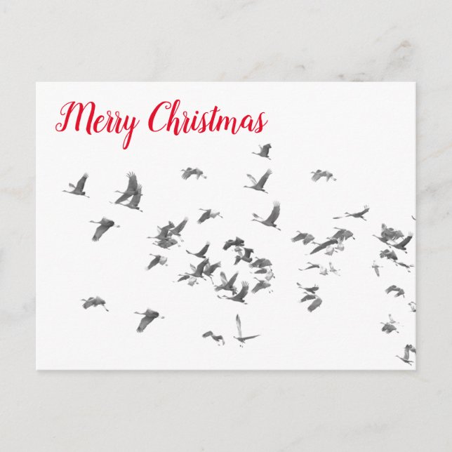 Cartão Postal De Festividades A simplicidade de Sandhills (Frente)