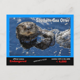 Cartão Postal De Festividades A "Southern Sea Otter" está ameaçada de extinção n