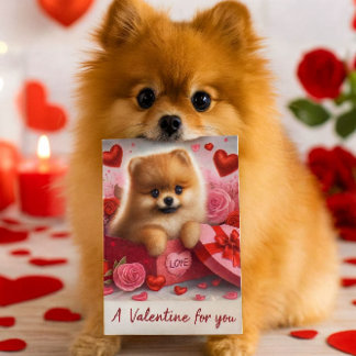 Cartão Postal De Festividades A Valentine for You Cute Pomeranian Dog 
