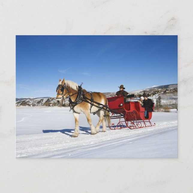 Cartão Postal De Festividades A Western Christmas - Horse Christmas Sleigh (Frente)