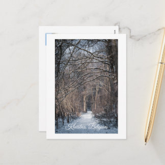 Cartão Postal De Festividades A Winters Day in Kluisbos Belgium