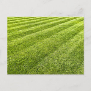 Cartão Postal De Festividades Abstrato de gramado com striping