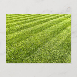 Cartão Postal De Festividades Abstrato de gramado com striping