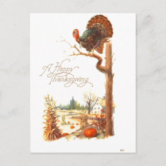 Cartão Postal De Festividades Ação de Graças à Turquia na área de árvore