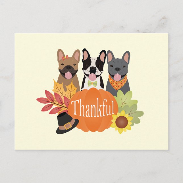 Cartão Postal De Festividades Ação de Graças aos Bulldog Franceses (Frente)