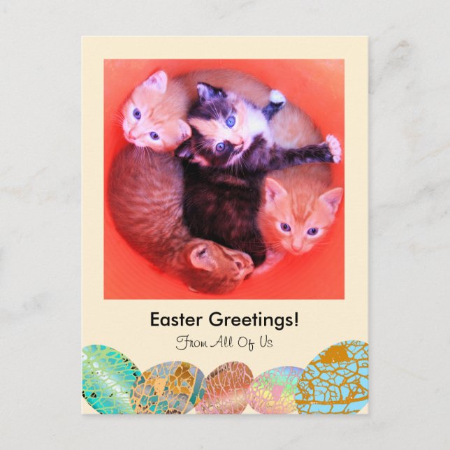 Cartão Postal De Festividades Adorable Kittens Cat Easter Greetings Custom Photo (Frente)