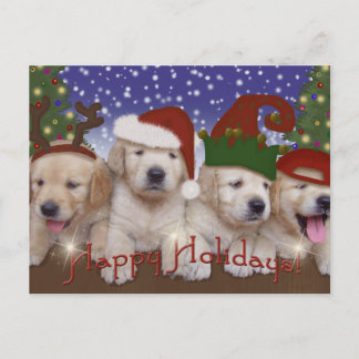 Cartão Postal De Festividades Adorável Natal Labrador Puppies!