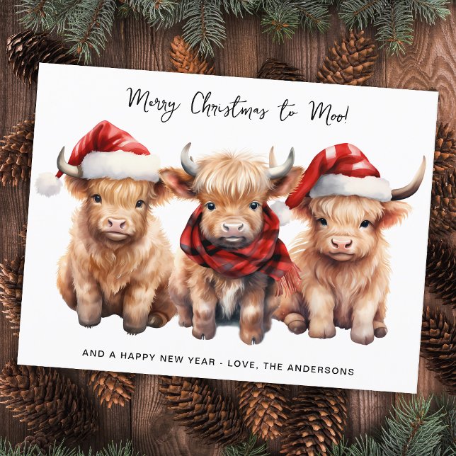 Cartão Postal De Festividades Adorável Vaca de Highland Calf Feliz Natal para MO (Criador carregado)
