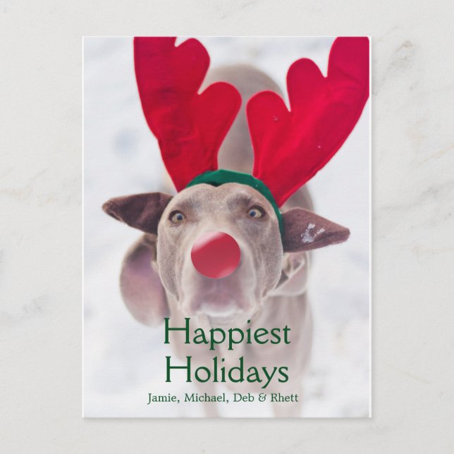 Cartão Postal De Festividades Adult Weimaraner dog wearing red antler headband (Frente)