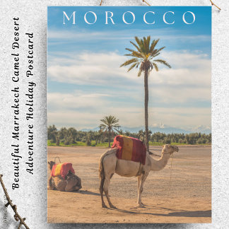 Cartão Postal De Festividades Adventure Marrakech Camel