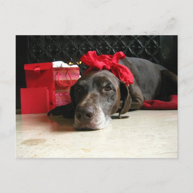 Cartão Postal De Festividades aguardando papais noeis (Frente)