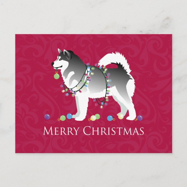 Cartão Postal De Festividades Alaskan Malamute Dog Felry Design de Natal (Frente)